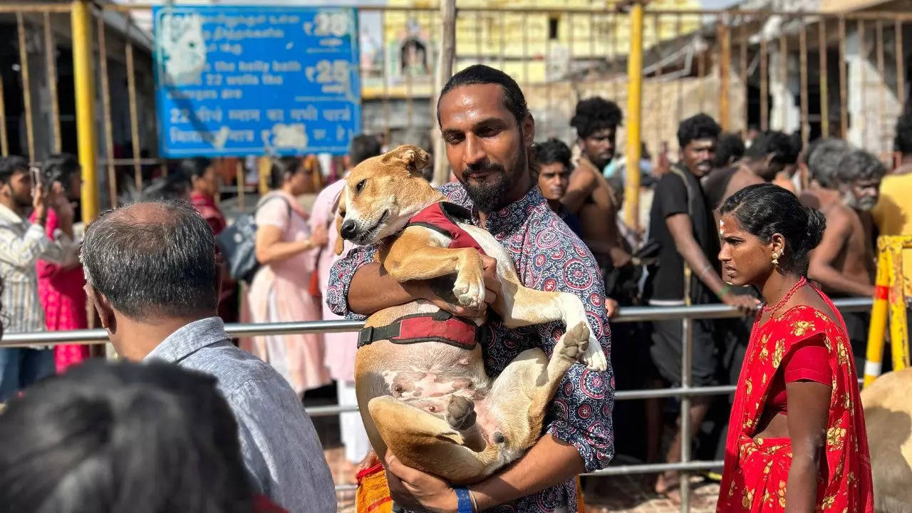 The duo covers all four dhams and 12 Jyotirlingas in India.