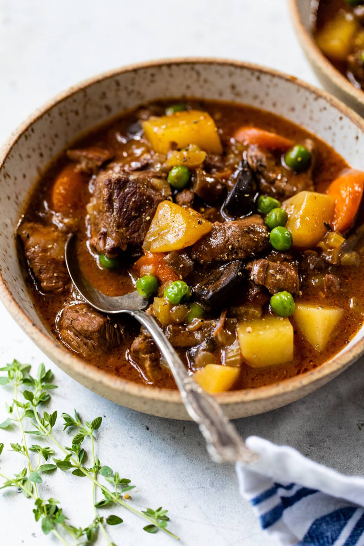 beef stew in a bowl