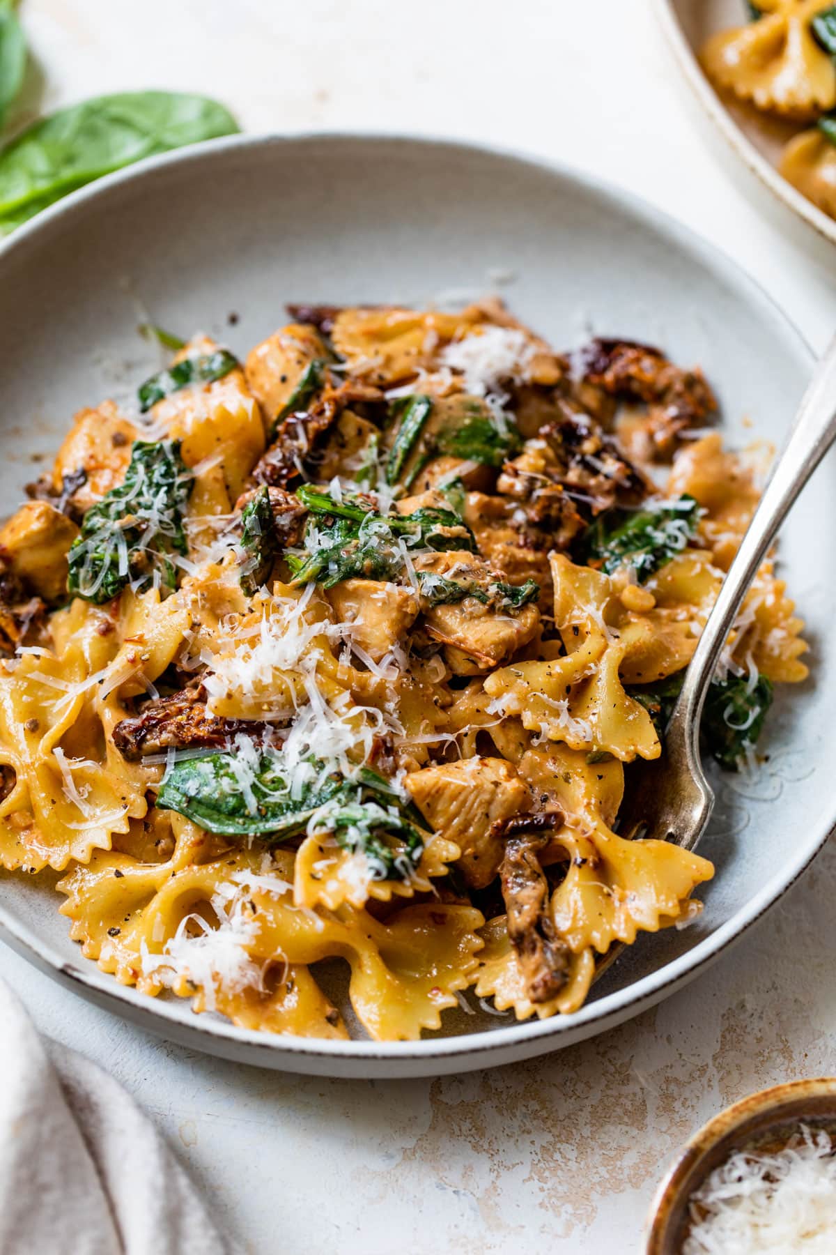 A healthy pasta dish with chicken and sun-dried tomatoes