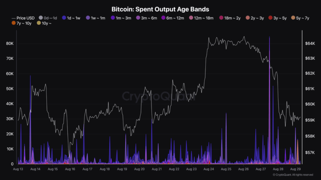 Long-term Bitcoin holders move coins | Source: @XBTManager via CryptoQuant