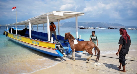 Lombok | Known for its beaches and surf spots, Lombok is a relaxing destination to explore the natural environment and local culture. It is a tranquil island with stunning beaches, waterfalls and lush forests.