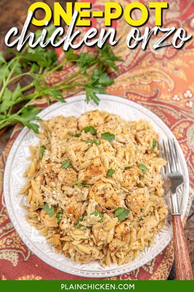 Garlic Parmesan Chicken and Orzo Plate with Ovleray Text