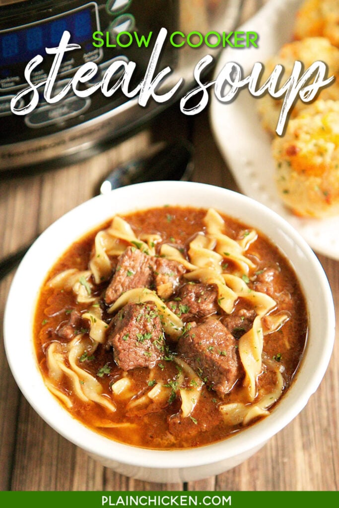 Steak and noodle soup bowl