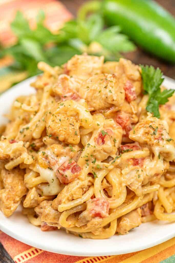 plate of spaghetti with white chicken