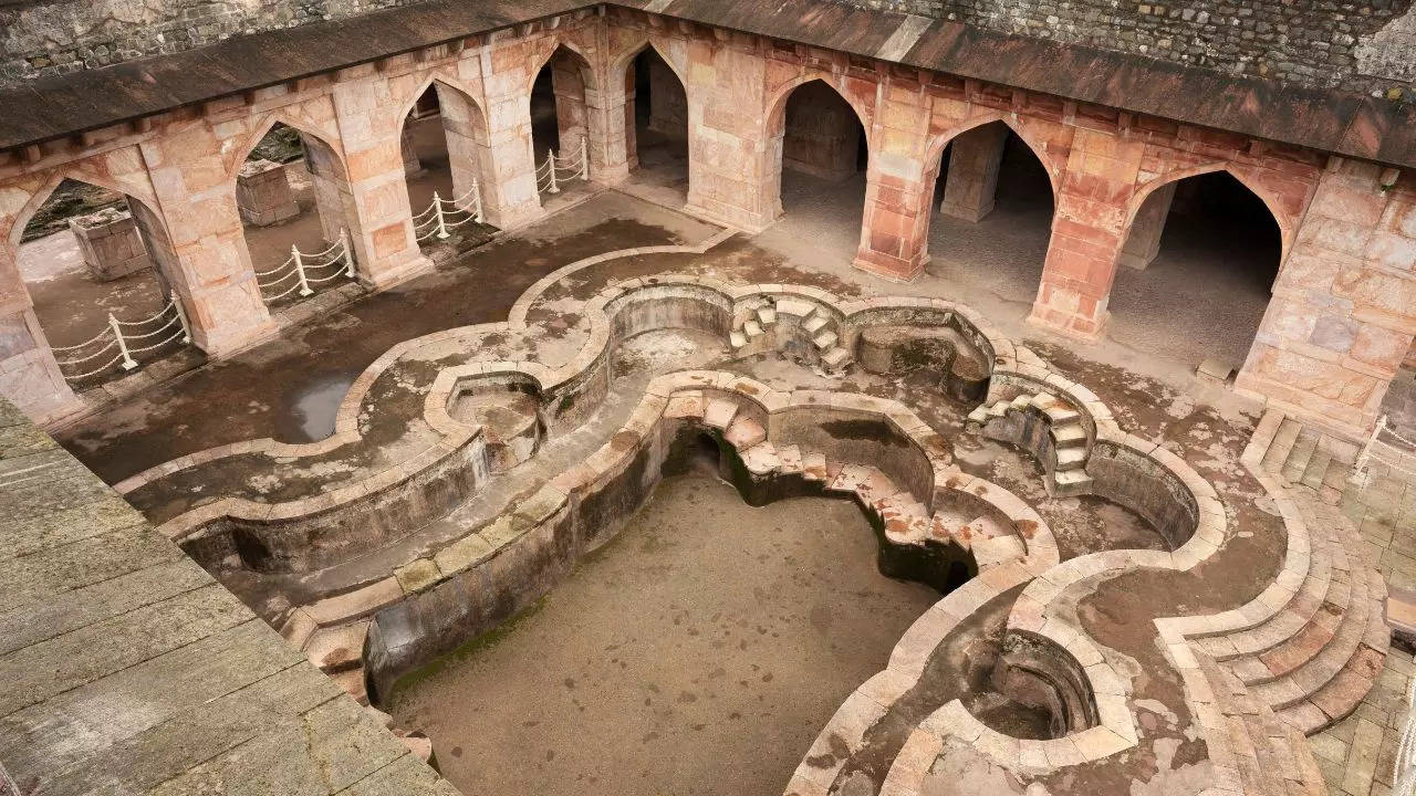 Lotus-shaped ponds inside the palace Credit Canva