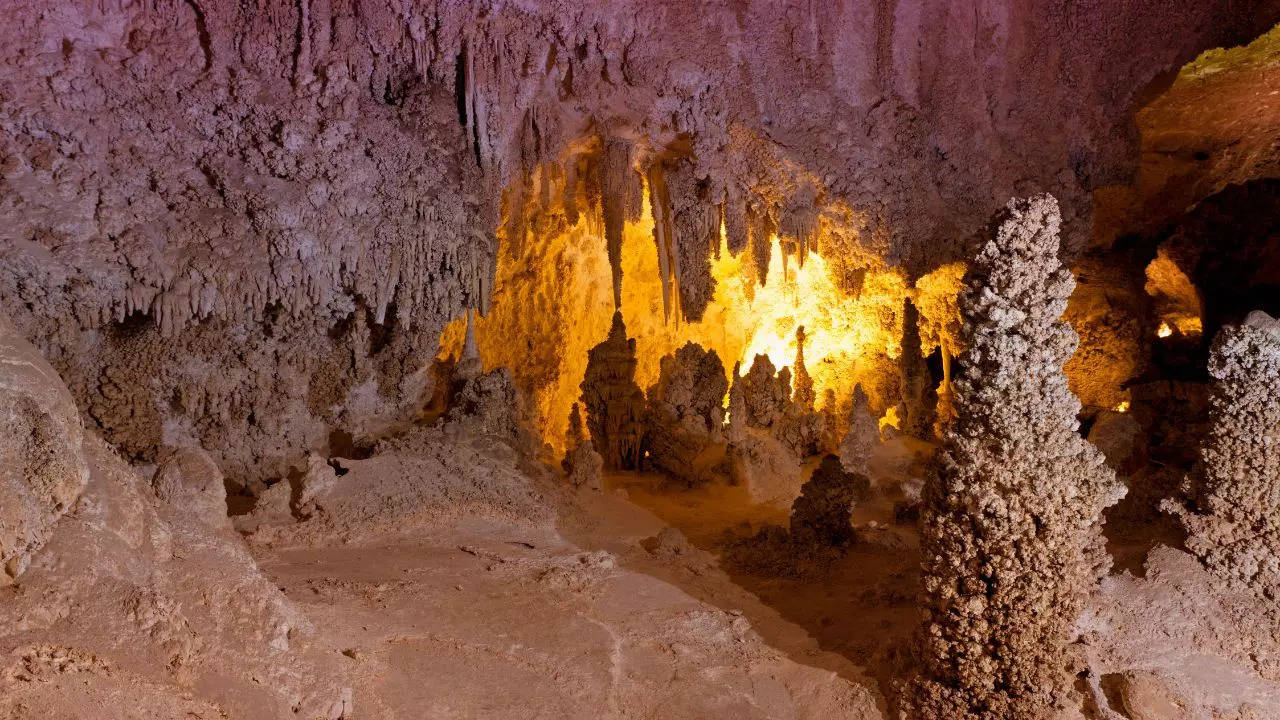 Carlsbad Caverns National Park Credit Canva