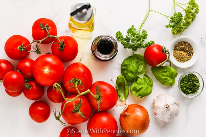 Ingredients to make Fresh Tomato Sauce