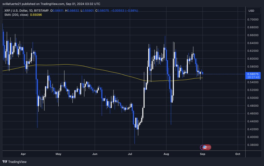 XRP remains above the 1D 200 MA.