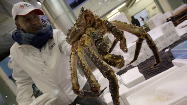 No. 5. Alaskan King Crab | Alaskan king crab is prized for its large size and juicy meat, making it a luxury seafood item. Its high price is due to the difficult and dangerous conditions in which it is caught, as well as its seasonal availability. (Image: Reuters)