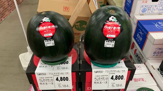 7. Densuke Watermelon | Grown exclusively in Hokkaido, Japan, Densuke watermelons are famous for their unique sweetness and deep black rind. The rarity of these watermelons, combined with their meticulous cultivation, makes them highly valued in the market. (Image: Shutterstock)