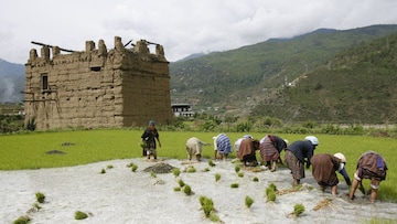 Paro Valley (image: reuters)