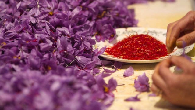 8. Saffron | Saffron, the most expensive spice in the world, is obtained from the delicate stigma of the saffron flower. Its high cost is due to the laborious harvesting process and the large number of flowers needed to produce a small amount of saffron.