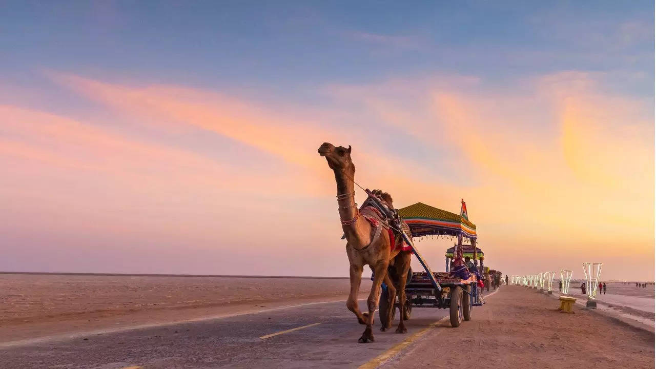 Rann Utsav will be held from November 1, 2024 to March 15, 2025. Credit Canva