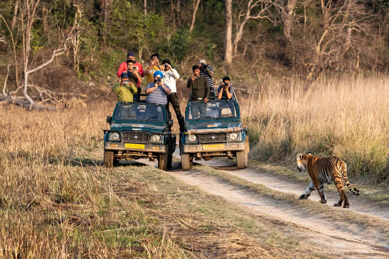 Jim Corbett National Park Uttarakhand Credit iStock