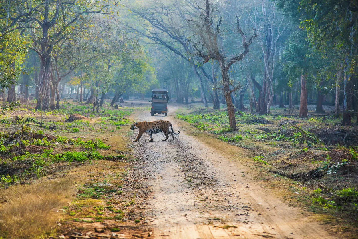 Nagarhole National Park Karnataka Credit iStock