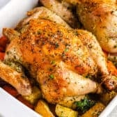 Oven-roasted Cornish hen in a casserole with potatoes and carrots