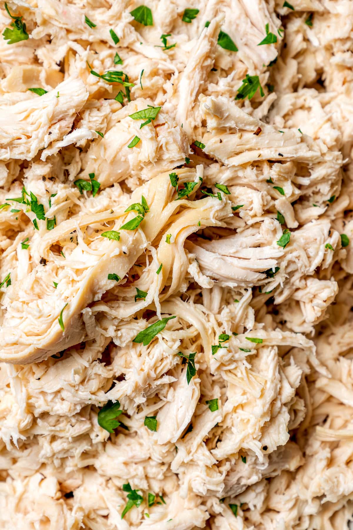 Closeup of shredded chicken in slow cooker