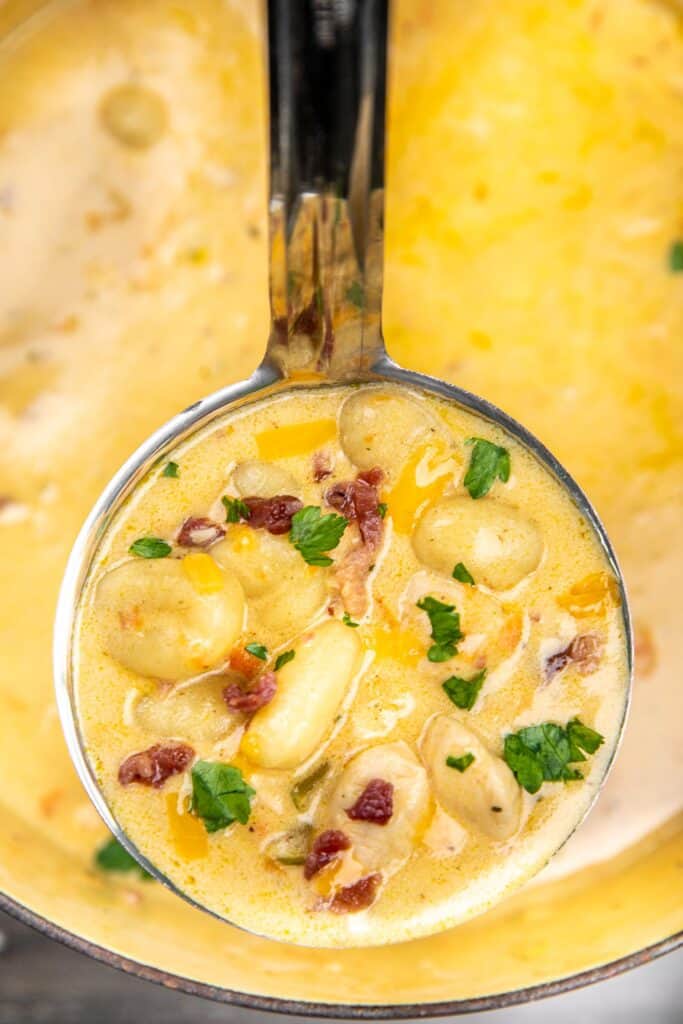 chicken gnocchi soup ladle