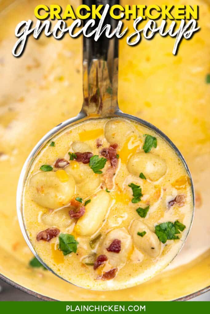 chicken gnocchi soup ladle with text overlay